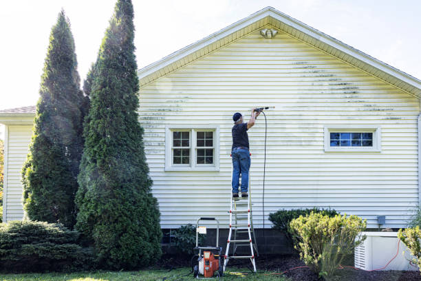 Professional Pressure Washing Services in Hartsville, SC
